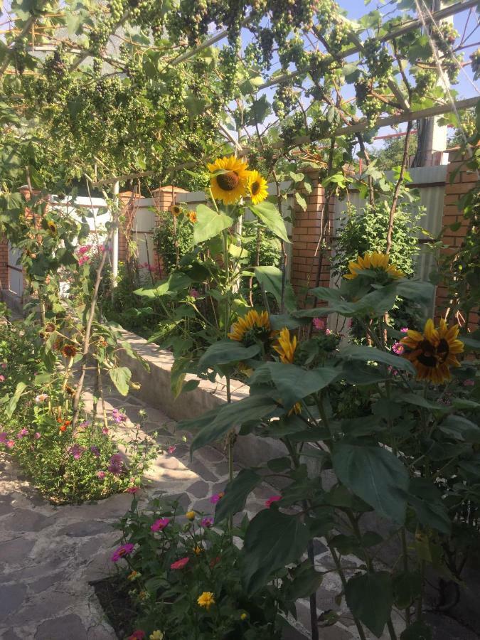 Oasis Lejlighed Aspindza Eksteriør billede
